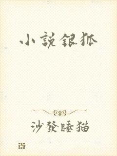小说银狐