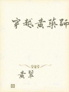 穿越黄药师之子