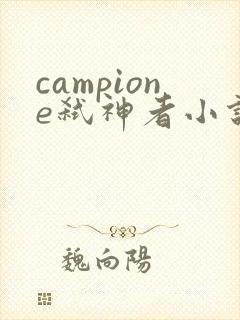 campione弑神者小说