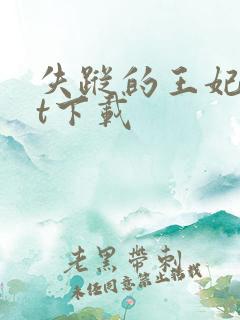 失踪的王妃txt下载