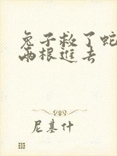 兔子救了蛇被蛇两根进去