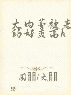 大肉蒂被老头嘬的好爽高h