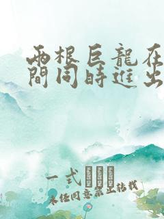 两根巨龙在她腿间同时进出