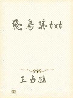 飞鸟集txt