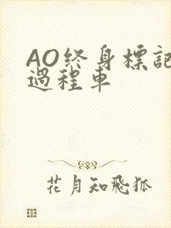 AO终身标记全过程车