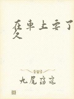 在车上要了我很久