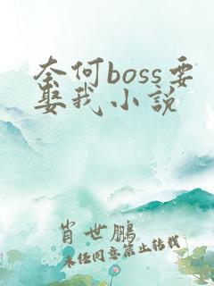 奈何boss要娶我小说