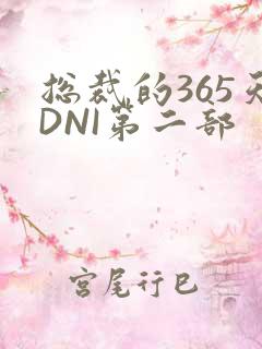 总裁的365天DNI第二部
