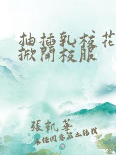 抽插乳校花老师掀开校服