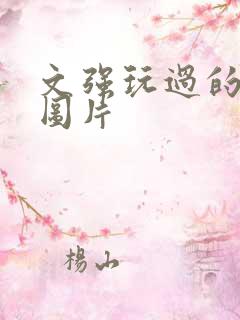 文强玩过的女人图片