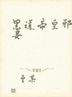 黑道帝皇邪帝冷妻