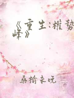 《重生:权势巅峰》