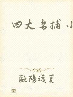 四大名捕 小说