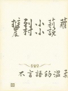 推到小莉萝稚嫩农村小说