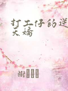 打工仔的逆袭楚天娇