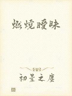 燃烧暧昧