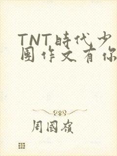 TNT时代少年团作文有你真好