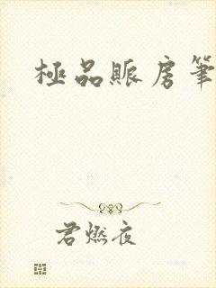 极品账房笔趣阁