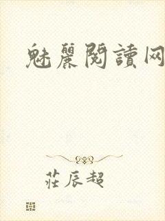 魅丽阅读网