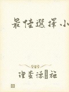 最佳选择小说