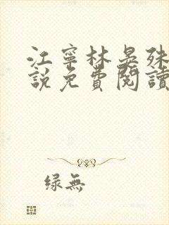 江宁林晏殊的小说免费阅读