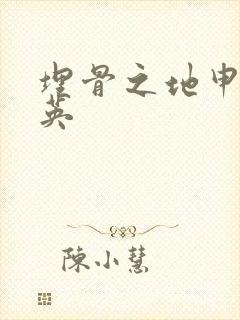 埋骨之地申屠奎英