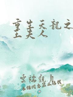 重生天龙之推倒王夫人