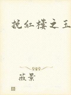 挽红楼之玉亦狂