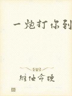 一炮打你到天亮