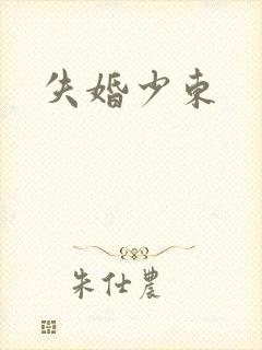 失婚少东
