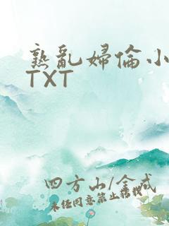 熟乱妇伦小说网TXT