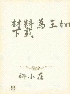 材料为王txt下载