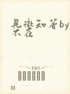 见微知著by音不在