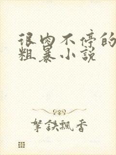 很肉不停的做很粗暴小说