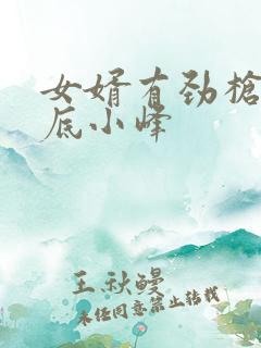 女婿有劲枪枪到底小峰