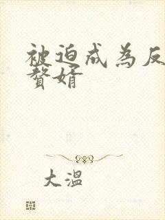 被迫成为反派的赘婿