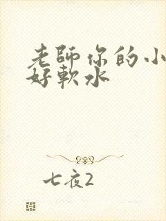 老师你的小兔子好软水