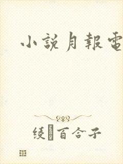 小说月报电子版