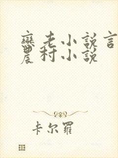 恋老小说言情网农村小说