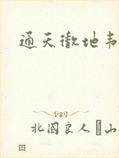 通天彻地韦小宝