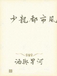 少龙都市风流行