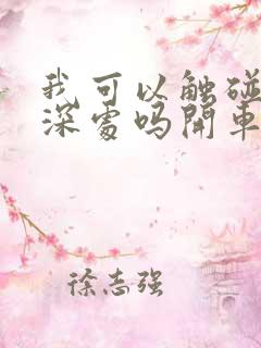 我可以触碰你的深处吗开车作文