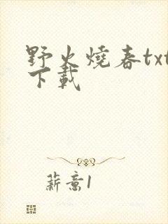 野火烧春txt下载