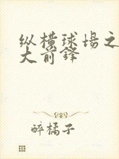 纵横球场之暴力大前锋