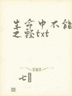 生命中不能承受之轻txt