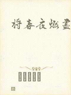 将春夜燃尽