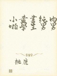 小黄书纯肉高H啪学生男男