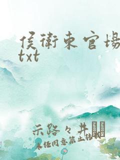 侯卫东官场笔记txt