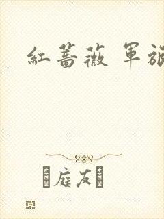 红蔷薇 军旅文