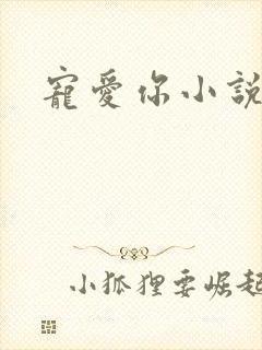 宠爱你小说